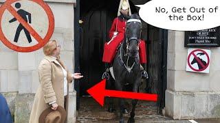 "OUT OF THE BOX"! King's Guard Refused the Lady "You can't touch the horse"!