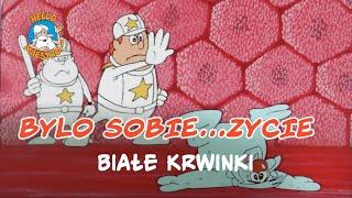 Bylo Sobie... Zycie  - Białe krwinki 