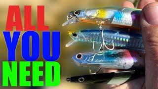 The Only 4 Bass  Lures you need!