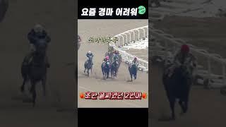 경마가 맞추기 어려운 이유! (feat.삼쌍 12425.3배) #shorts