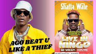 SHATTA WALE ALMOST K!CK FAN WHO TRIED SNATCHING HIS DIAMOND CHAIN WHILES PERFORMING