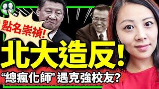 北大私募魔女李蓓：今日中國可比崇禎？網信辦主任驚呼：被你拉下水！ 李佩霞被黨祭旗，洩露秘密是敵我矛盾！（老北京茶馆/第1229集/2024/08/26）