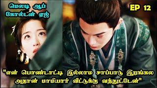 EP 12  | ️️ White Ghost️️ #storyneramtamil #Dramareview #CDrama #SNTLove