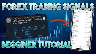 Forex Trading Signals TUTORIAL (Beginner Guide) | The CopyTrader