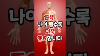 근육, 나이 들수록 더 중요합니다 #근육 #관절 #노인건강 #노인근육 #노인관절