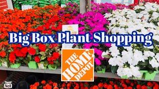 Big Box Plant Shopping at Home Depot || Starting a Butterfly Garden