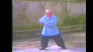 Fu Zhong Wen - internal exercises for fajin