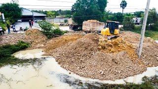 Great Action Of Dr51 Komatsu Bulldozer Pushing Soil Filling Lake With 5T Dump Trucks