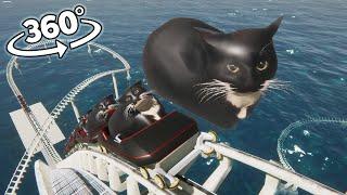 VR 360 Maxwell The Cat Roller Coaster!