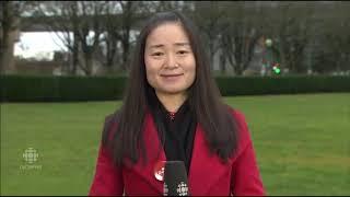 Karen Wang - My Words Were Lost In Translation | Burnaby - South