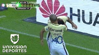 Revive los goles de la Jornada 14 del Clausura 2017