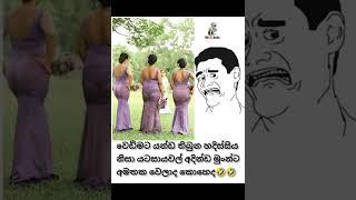 Sri Lankan Athal Meme Episode 406 | HC Fun memes | ATHAL SINHALA #athalmemes#shorts