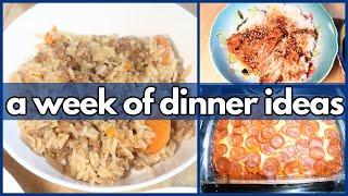 WEEK NIGHT DINNERS | What’s For Dinner? #354 | 1-WEEK OF REAL LIFE MEALS