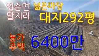 (매물번호 088)영순면 달지리 마당넓은 농가주택(구옥)매매 대지965㎡(292평)  매매6300만