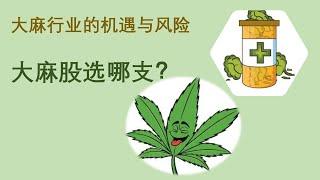 [美股投资] 大麻股投机选哪支？大麻行业的机遇与风险