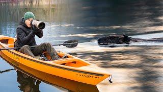 I went winter kayaking with an angry beaver (Maine wildlife vlog)