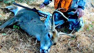 Muzzle Loader Public Land Buck Down Up Close