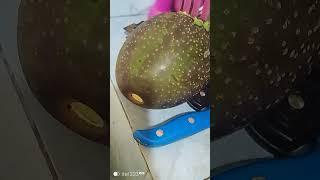 The avocado is ready to eat, MercyNguku The World Traveller  #worshipsongrewritten