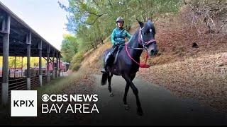 Horse riders anxious over cyclists' access to Mount Tam trails