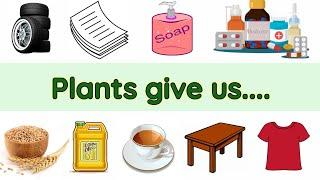 Uses of plants | Uses of plants for kids | Plants and their uses | Plant give us | uses of trees