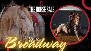 "Broadway" - Wilson Cattle Co x Rancho Rio Horse Sale 2025