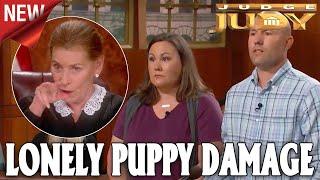 Judge Judy [Episode 8570] Best Amazing Cases Season 2O24 Full Episodes HD