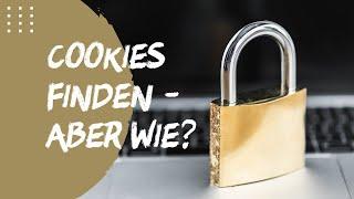 Cookies auf der Website finden mit dem Chrome Browser