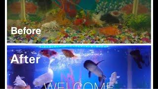 How to clean fish tank