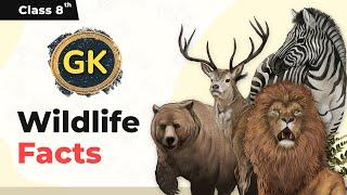 Wildlife Facts | Interesting Facts About Animals | Facts About Cows | Class 8 General Knowledge