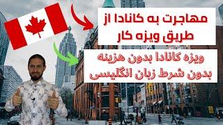 مهاجرت به کانادا از طریق ویزه کار| بدون پول | بدون شرط زبان 2023