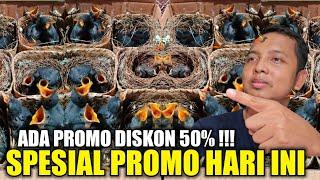 SPESIAL DISKON 50% !!! CUMA KIOS LANGGENG JAYA YG BERANI JUAL SETENGAH HARGA LEBIH MURAH DR PASARAN