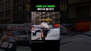 사이렌 소리 카피장인 셰퍼드와 웰시코기