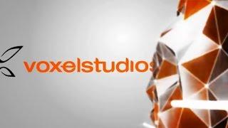 voxelstudios -- Reel 2014