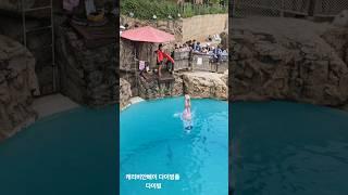 캐리비안베이 다이빙풀 워터파크 다이빙 #캐리비안베이 #caribbean  bay #diving