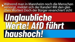 Wahnsinn! Alternative 2026 mit über 45% in Sachsen Anhalt!