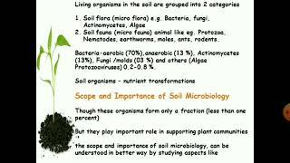 Soil Microbiology (Introduction)