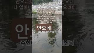 안오네  #주현미#트로트#2025.5.15주현미최신곡