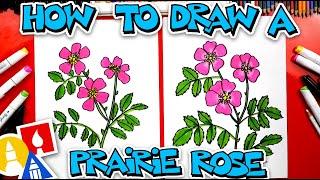 How To Draw A Prairie Rose Flower