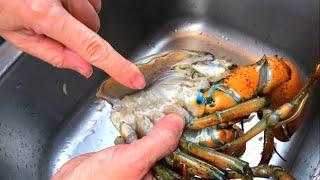 Steamed Lobster /How to clean a lobster quickly and easily