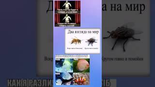 #fyp #memes #popular #starmemes #shorts #short #youtube #глобальныерекомендации