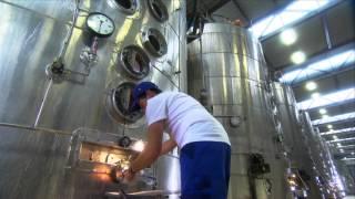 How is sugar made from beets? | frage-trifft-antwort.de | Planet School