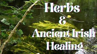 Herbs and Ancient Irish Healing