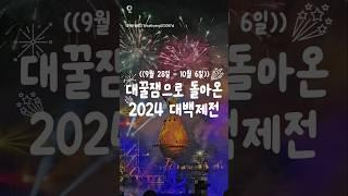 더 꿀잼으로 돌아온 2024 대백제전!!