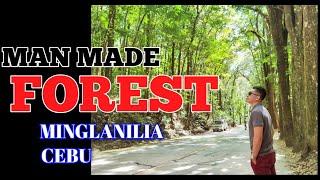 MAN MADE FOREST OF CEBU || AMAZING PLACE 01 || GIL'S TRAVEL