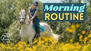 Morning Routine of an Equestrian Summer 2022! This Esme AD