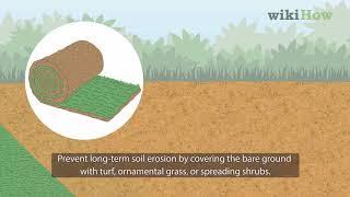 How to Prevent Soil Erosion