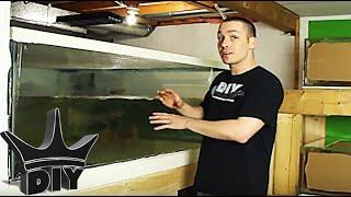 Building an in-wall aquarium!