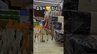 효정씨 화이팅  #박서진 #한일톱텐쇼 #박효정 #shorts #서진이네건어물 #현역가왕콘서트