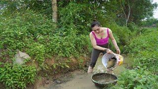 Farmer's Life: Big Fishing, Cooking, Planting & Selling at the Market - A Day in My Farm Life