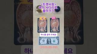 이번 주, 돈 들어올 사람은 이 카드 나옵니다 #타로 #타로금전운 #중년운세